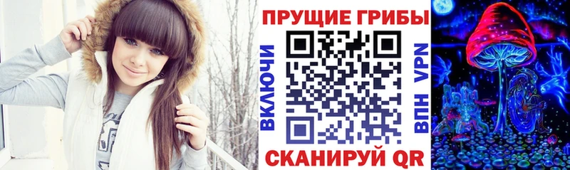 Псилоцибиновые грибы Cubensis  Белово 
