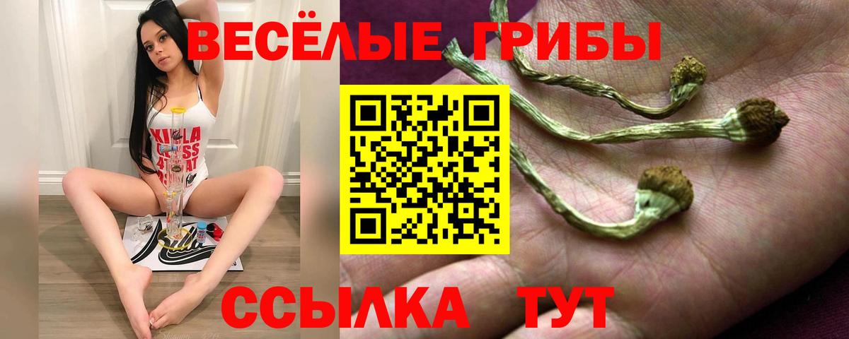 Псилоцибиновые грибы GOLDEN TEACHER  Галлюциногенные грибы Psilocybe  Вход с VPN  Белово 